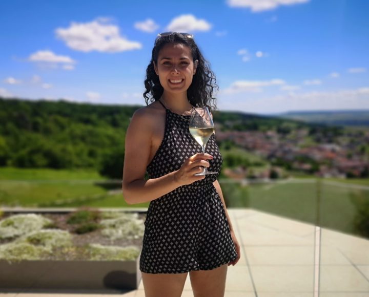 Dalkia loves wines - Bloggeuse